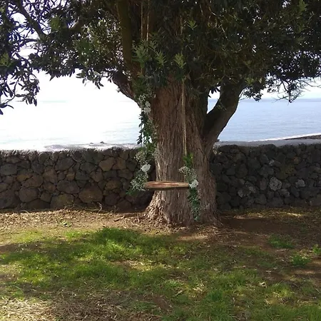 Alluar