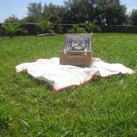 Guest house Alluar 3*